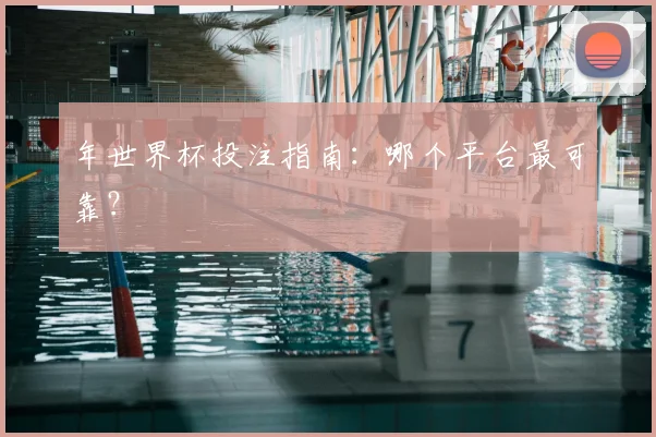 年世界杯投注指南：哪个平台最可靠？
