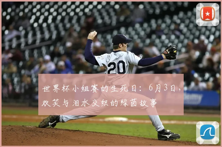 世界杯小组赛的生死日：6月3日，欢笑与泪水交织的绿茵故事