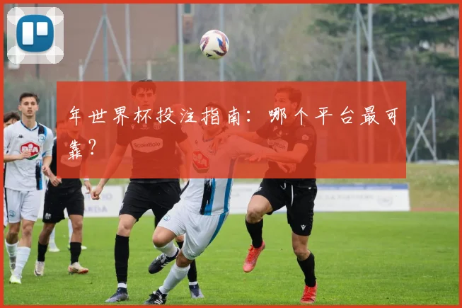 年世界杯投注指南：哪个平台最可靠？