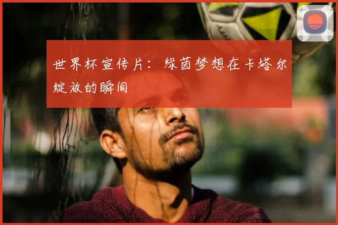 世界杯宣传片：绿茵梦想在卡塔尔绽放的瞬间